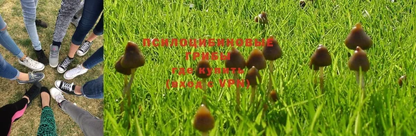 MDMA Белоозёрский