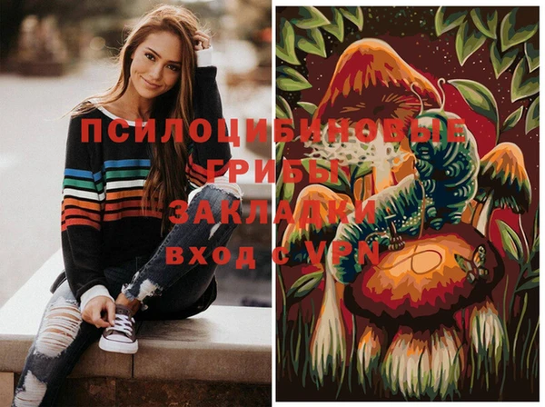 ГАЛЛЮЦИНОГЕННЫЕ ГРИБЫ Белокуриха