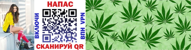 Каннабис White Widow  хочу   MEGA ONION  Верхняя Пышма 